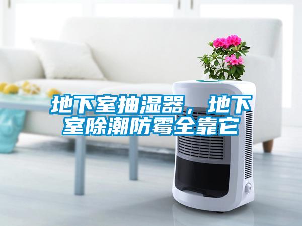 地下室抽濕器，地下室除潮防霉全靠它