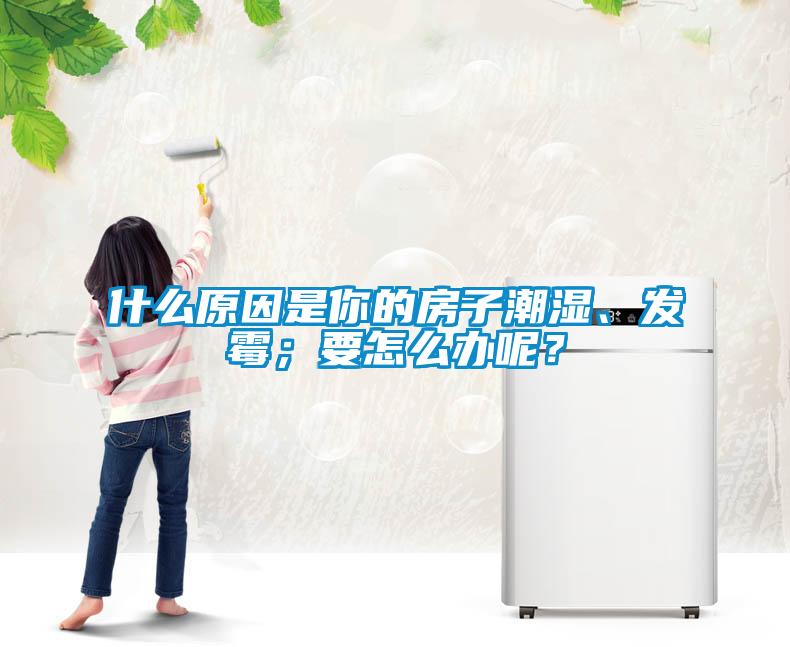 什么原因是你的房子潮濕、發(fā)霉；要怎么辦呢？