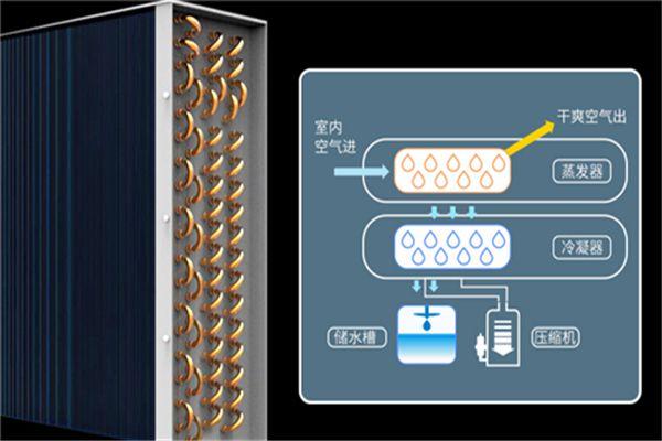 冷庫消毒用什么好？冷庫霧化消毒機(jī)