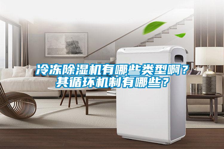 冷凍除濕機有哪些類型啊？其循環(huán)機制有哪些？