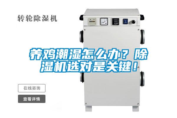 養(yǎng)雞潮濕怎么辦？除濕機選對是關(guān)鍵！