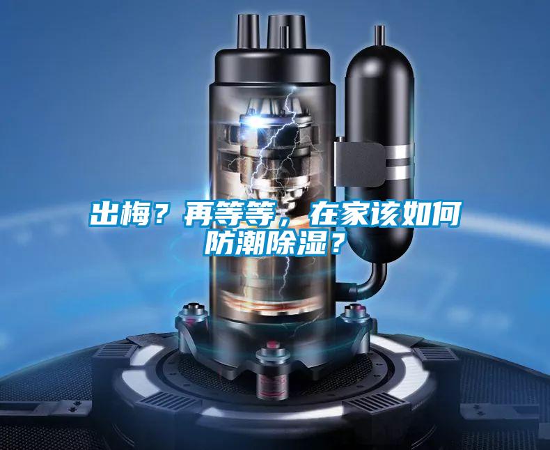 出梅？再等等，在家該如何防潮除濕？