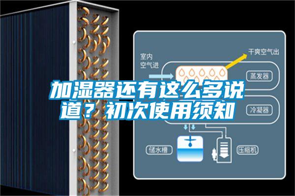 加濕器還有這么多說道？初次使用須知