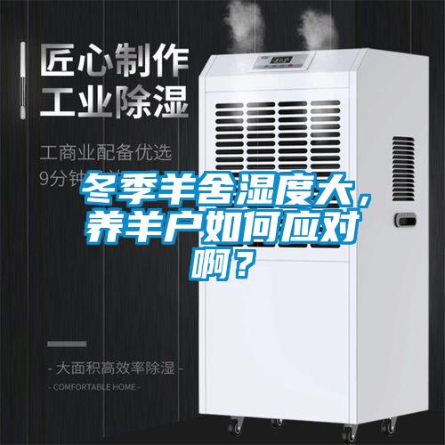 冬季羊舍濕度大，養(yǎng)羊戶如何應對??？