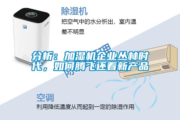 分析：加濕機(jī)企業(yè)叢林時(shí)代，如何騰飛還看新產(chǎn)品