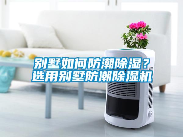 別墅如何防潮除濕？選用別墅防潮除濕機(jī)