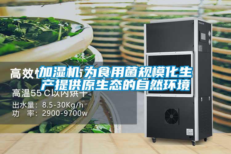 加濕機(jī)　為食用菌規(guī)?；a(chǎn)提供原生態(tài)的自然環(huán)境
