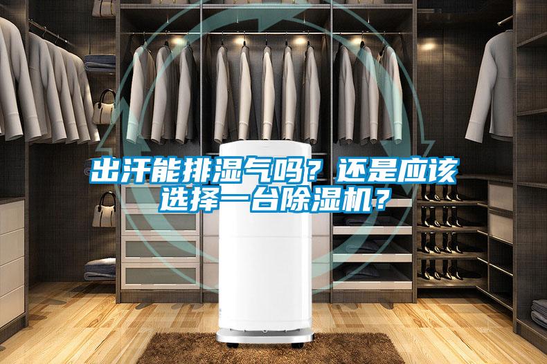 出汗能排濕氣嗎？還是應(yīng)該選擇一臺(tái)除濕機(jī)？