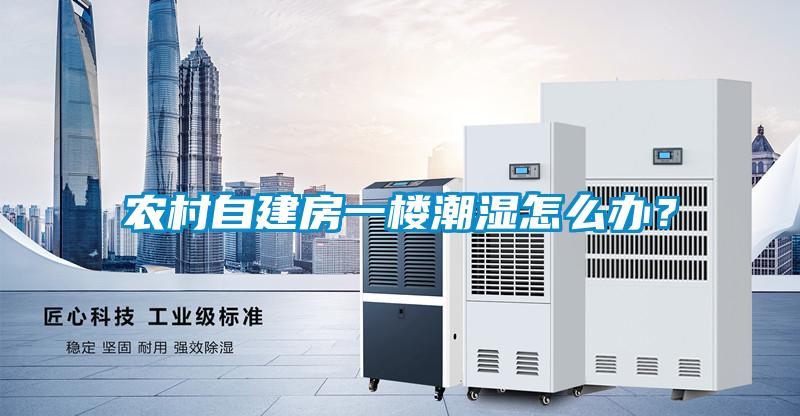 農(nóng)村自建房一樓潮濕怎么辦？