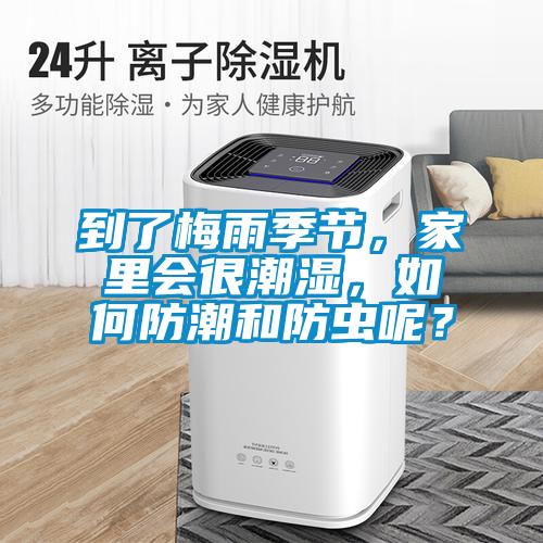 到了梅雨季節(jié)，家里會很潮濕，如何防潮和防蟲呢？