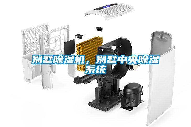 別墅除濕機，別墅中央除濕系統(tǒng)