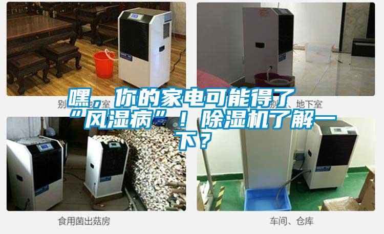 嘿，你的家電可能得了“風(fēng)濕病”！除濕機(jī)了解一下？