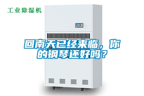 回南天已經(jīng)來(lái)臨，你的鋼琴還好嗎？