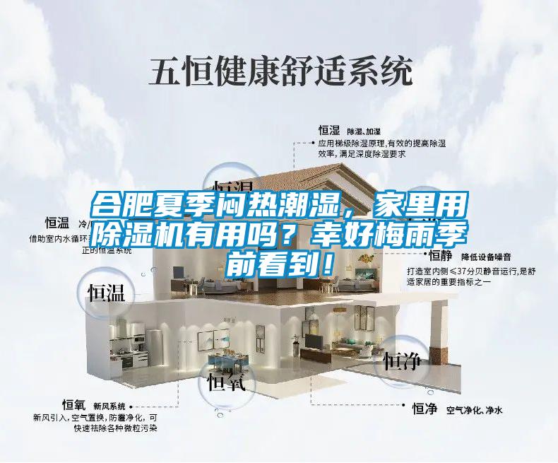 合肥夏季悶熱潮濕，家里用除濕機有用嗎？幸好梅雨季前看到！