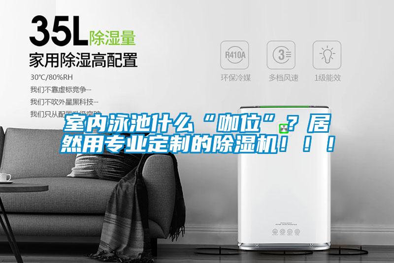 室內(nèi)泳池什么“咖位”？居然用專業(yè)定制的除濕機(jī)?。。?/></p>
						    <p style=