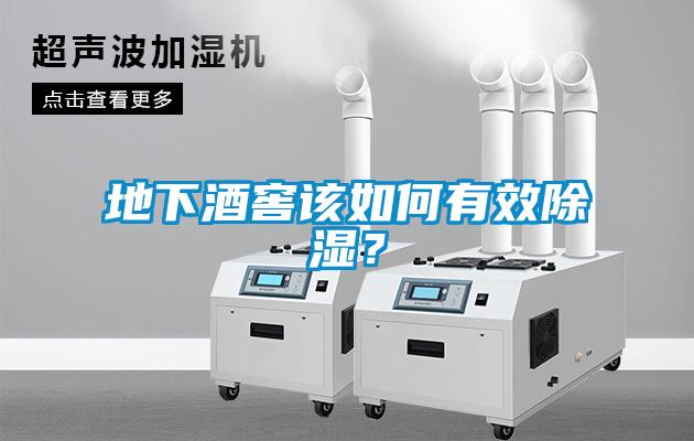 地下酒窖該如何有效除濕？