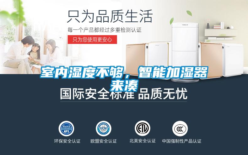 室內濕度不夠，智能加濕器來湊