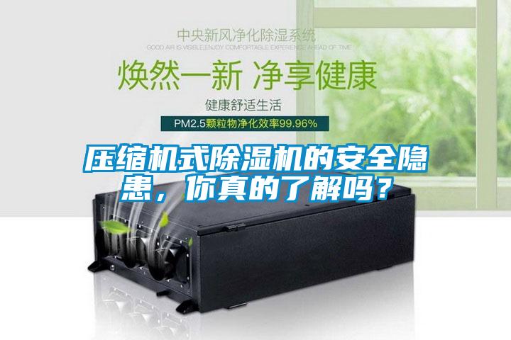 壓縮機(jī)式除濕機(jī)的安全隱患，你真的了解嗎？