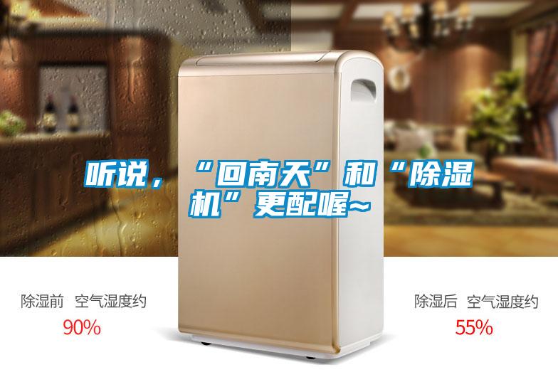 聽說，“回南天”和“除濕機(jī)”更配喔~