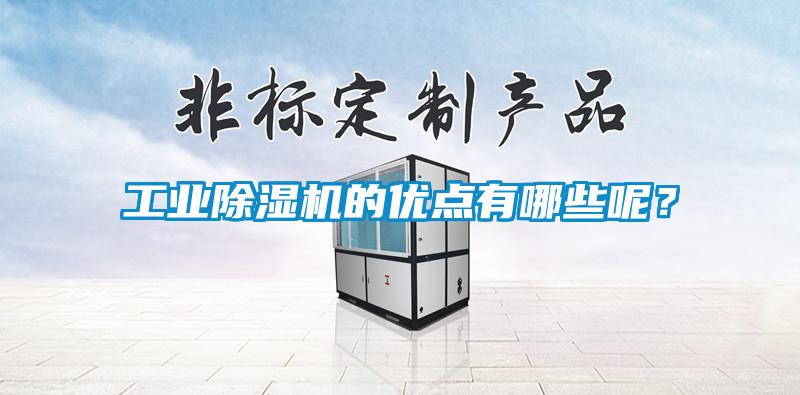 工業(yè)除濕機(jī)的優(yōu)點(diǎn)有哪些呢？