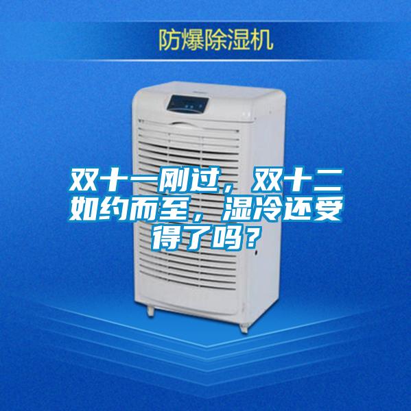 雙十一剛過，雙十二如約而至，濕冷還受得了嗎？
