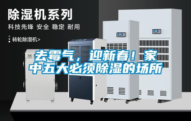 去霉氣，迎新春！家中五大必須除濕的場所