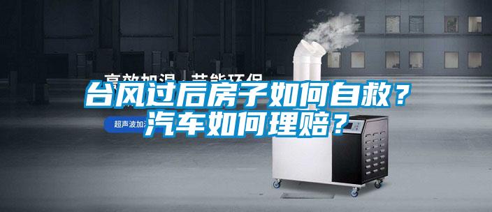 臺(tái)風(fēng)過后房子如何自救？汽車如何理賠？