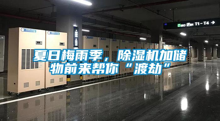夏日梅雨季，除濕機(jī)加儲(chǔ)物前來(lái)幫你“渡劫”
