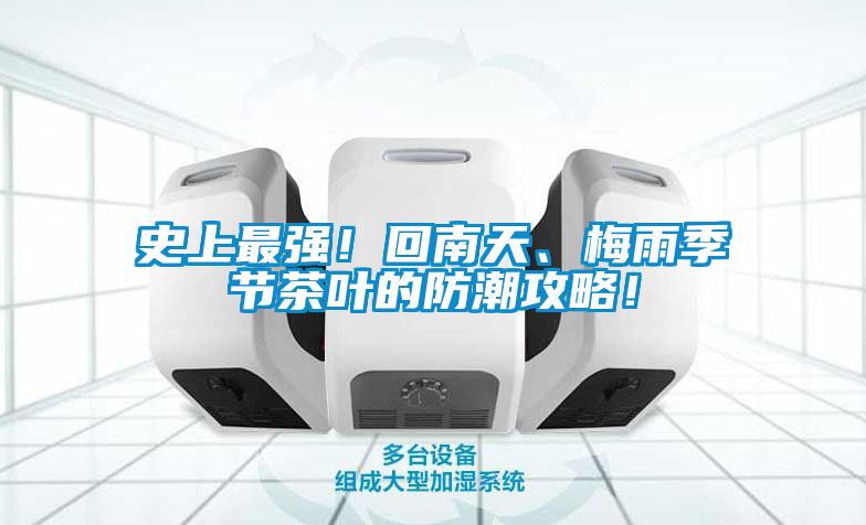 史上最強(qiáng)！回南天、梅雨季節(jié)茶葉的防潮攻略！