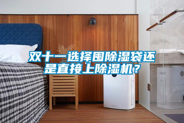 雙十一選擇囤除濕袋還是直接上除濕機(jī)？