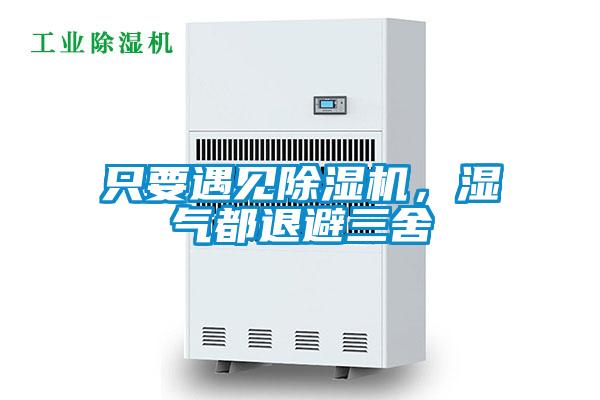 只要遇見(jiàn)除濕機(jī)，濕氣都退避三舍