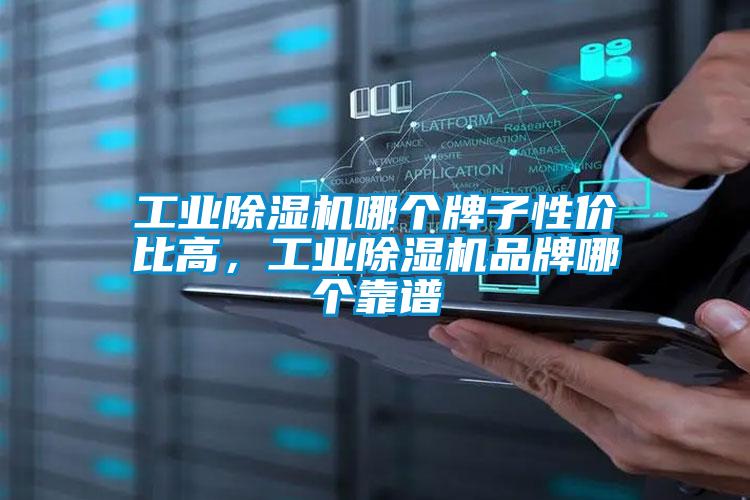 工業(yè)除濕機哪個牌子性價比高，工業(yè)除濕機品牌哪個靠譜