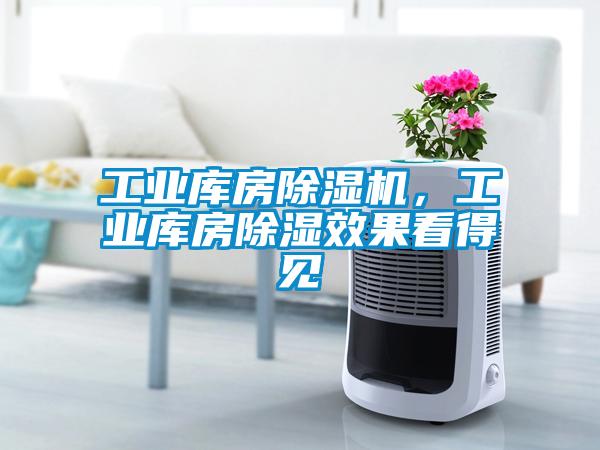 工業(yè)庫(kù)房除濕機(jī)，工業(yè)庫(kù)房除濕效果看得見(jiàn)
