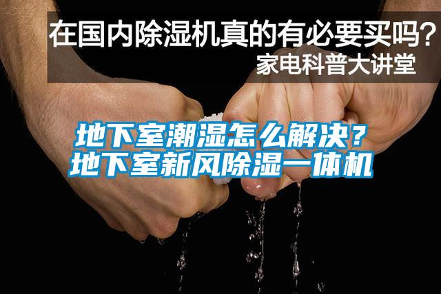 地下室潮濕怎么解決？地下室新風(fēng)除濕一體機(jī)