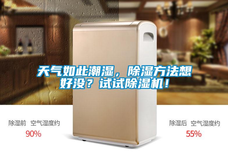 天氣如此潮濕，除濕方法想好沒？試試除濕機(jī)！