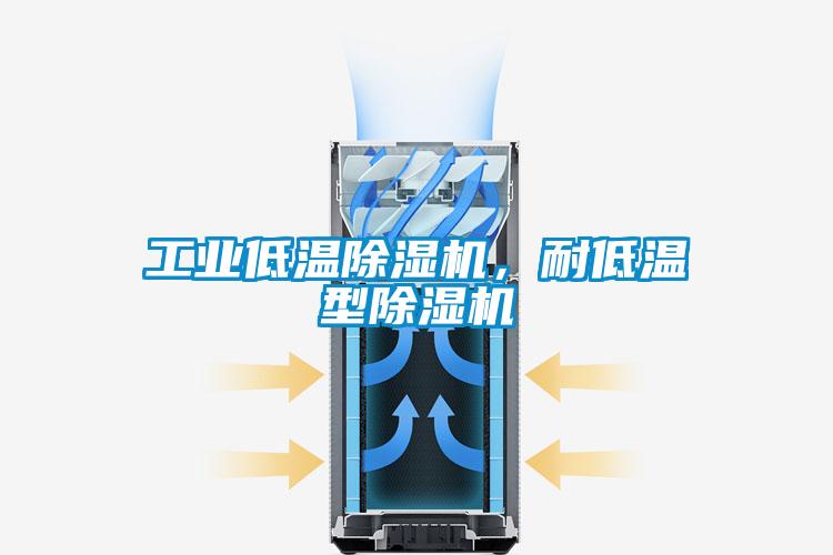 工業(yè)低溫除濕機，耐低溫型除濕機