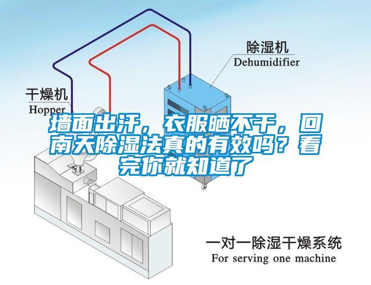 墻面出汗，衣服曬不干，回南天除濕法真的有效嗎？看完你就知道了