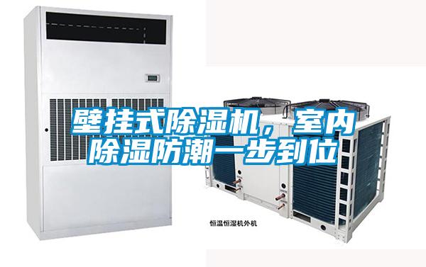 壁掛式除濕機，室內(nèi)除濕防潮一步到位