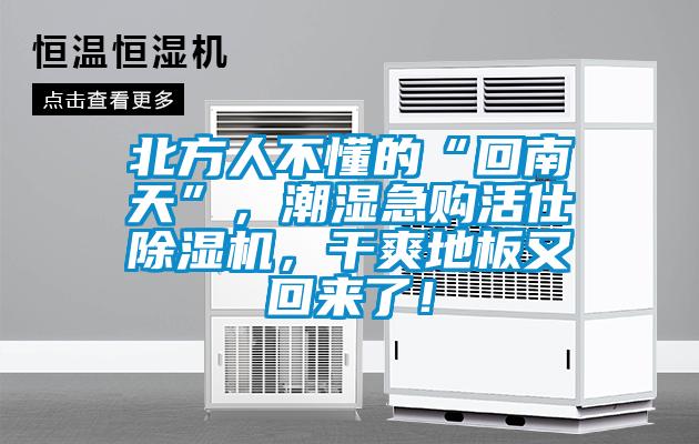 北方人不懂的“回南天”，潮濕急購活仕除濕機(jī)，干爽地板又回來了！