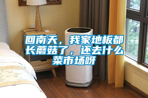 回南天，我家地板都長蘑菇了，還去什么菜市場呀