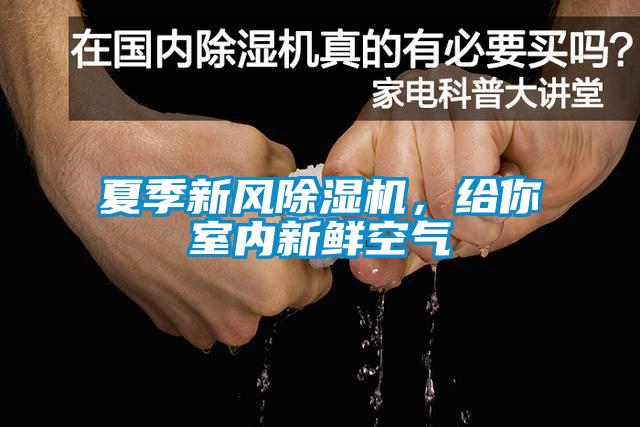 夏季新風(fēng)除濕機(jī)，給你室內(nèi)新鮮空氣