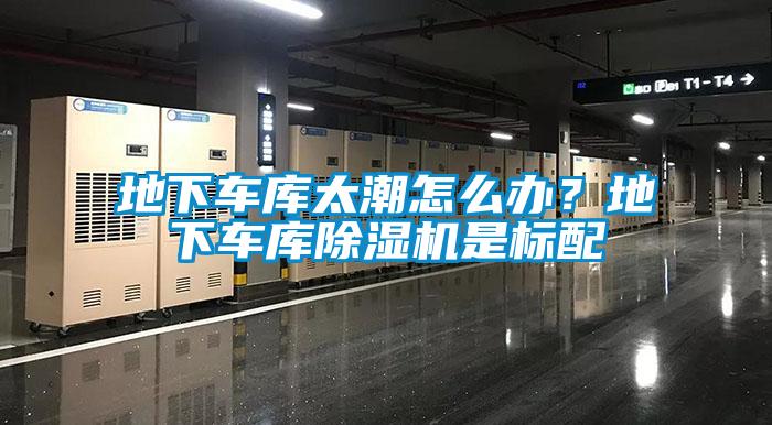 地下車庫太潮怎么辦？地下車庫除濕機是標配