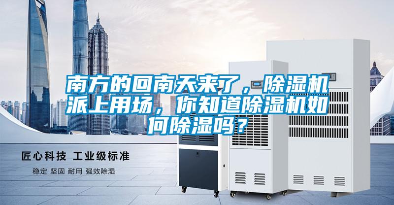 南方的回南天來了，除濕機(jī)派上用場(chǎng)，你知道除濕機(jī)如何除濕嗎？
