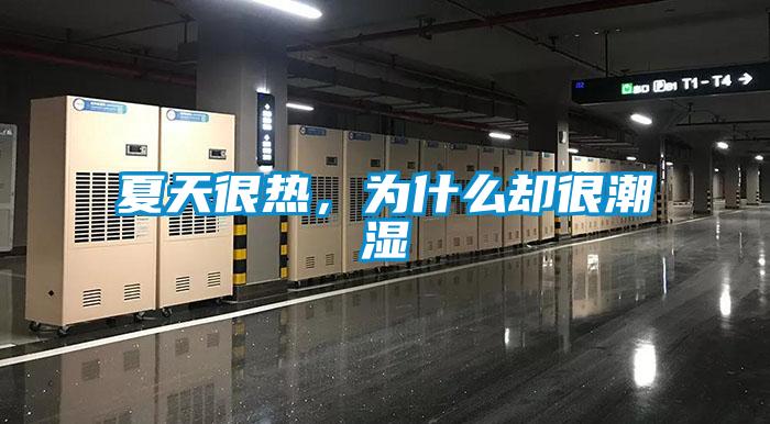 夏天很熱，為什么卻很潮濕