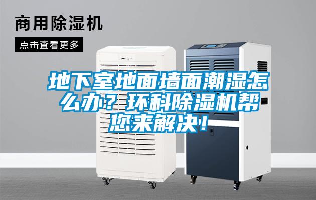 地下室地面墻面潮濕怎么辦?環(huán)科除濕機幫您來解決!