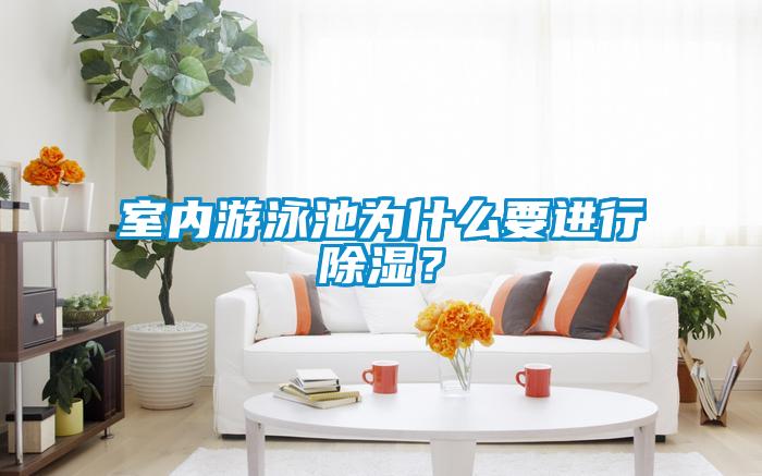 室內(nèi)游泳池為什么要進行除濕？