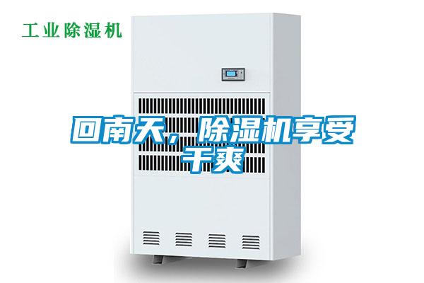 回南天，除濕機享受干爽