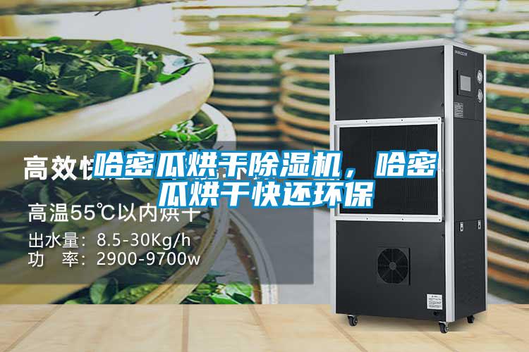 哈密瓜烘干除濕機(jī)，哈密瓜烘干快還環(huán)保
