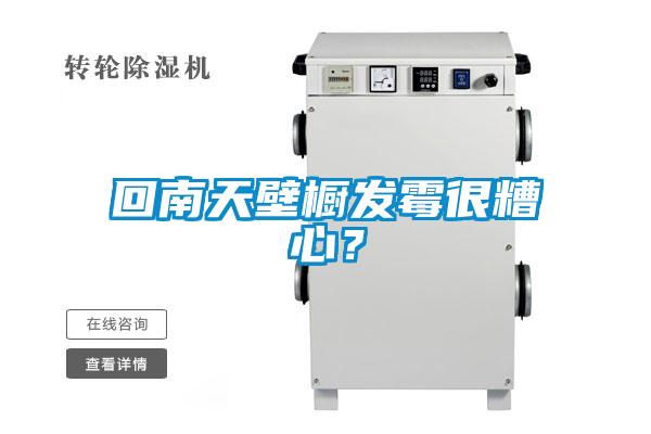 回南天壁櫥發(fā)霉很糟心？