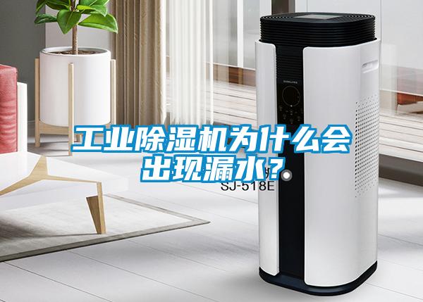 工業(yè)除濕機(jī)為什么會出現(xiàn)漏水？